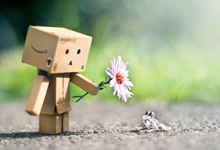 球队实力获得认可，连续取得胜利——从默默无闻到众望所归的逆袭之路