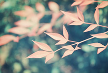 乌迪内斯迎战劲旅，冲刺联赛前列