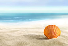 北东亚球队取胜晋级，备战八强赛