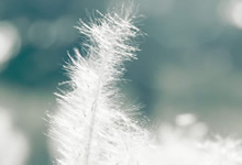 勇敢的澳大利亚射击选手获奖：勇气与技艺的完美结合