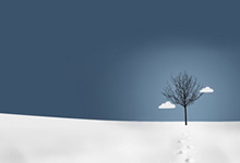 国安一举拿下，积分稳定固若金汤牢牢守住头名位置