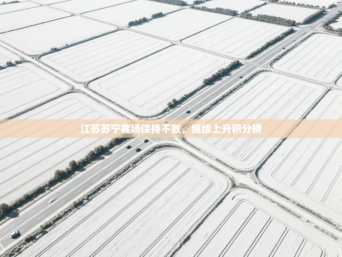 江苏苏宁客场保持不败,继续上升积分榜 第2张